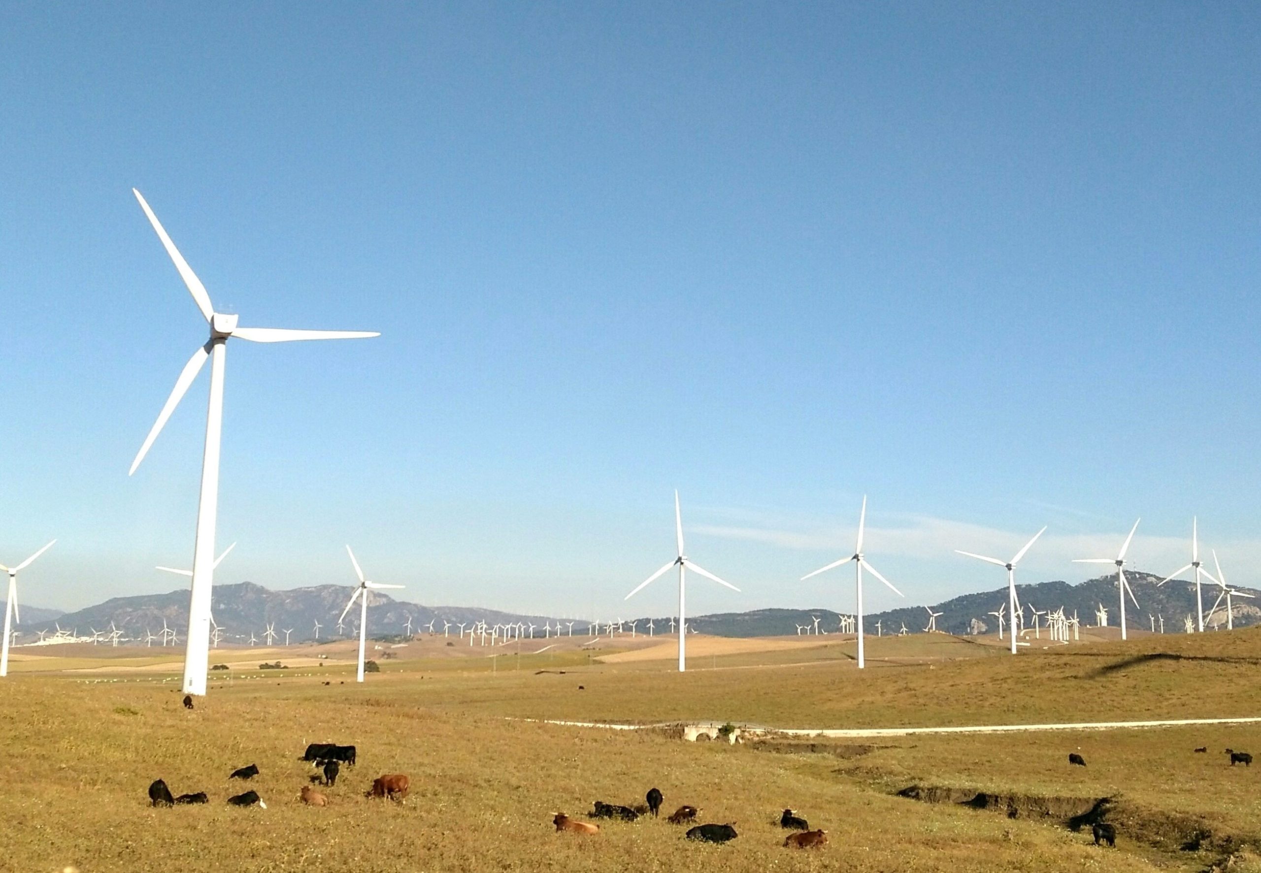 Protected: Webinar: SCADA data for analysing wind turbine performance and yield